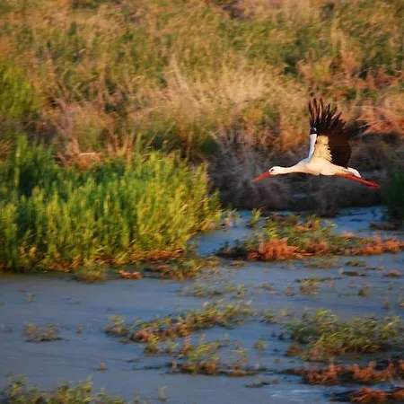 Apartament Fehmarn Mecklenburg Pool Alte Schule Barlin *