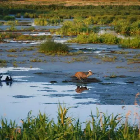 Fehmarn Mecklenburg Pool Alte Schule Barlin *